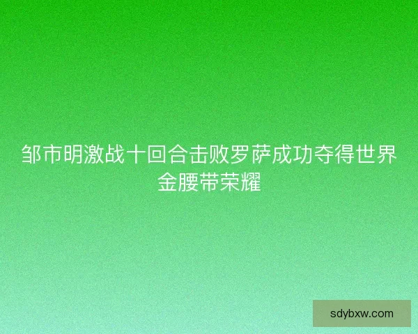 邹市明激战十回合击败罗萨成功夺得世界金腰带荣耀